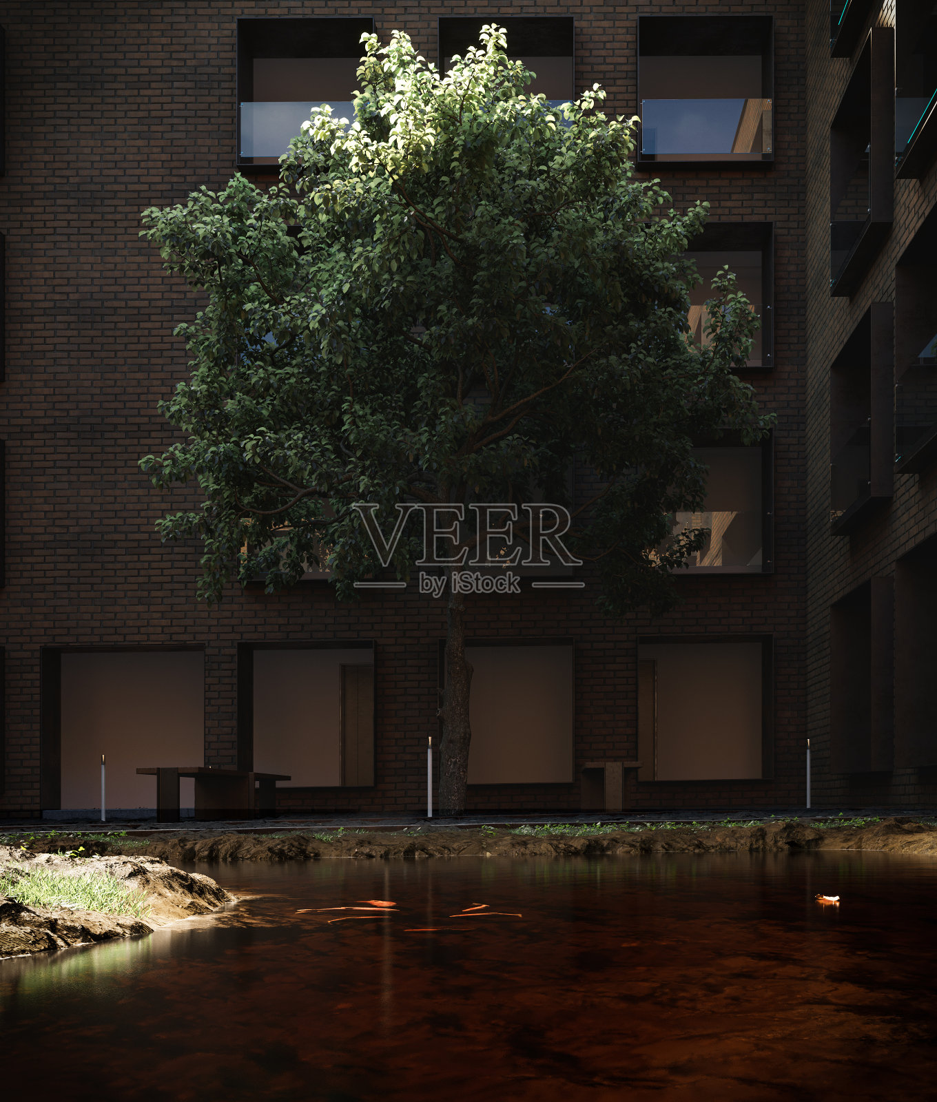 天井照片摄影图片