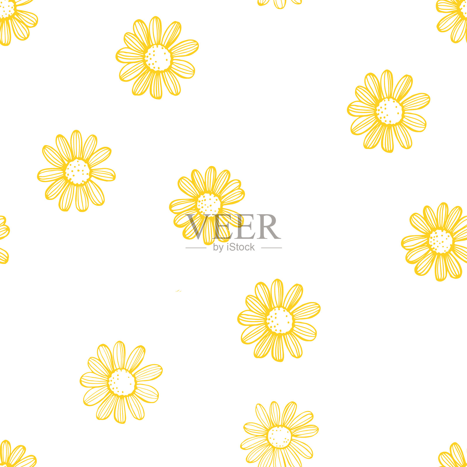 手绘洋甘菊花在白色的背景插画图片素材