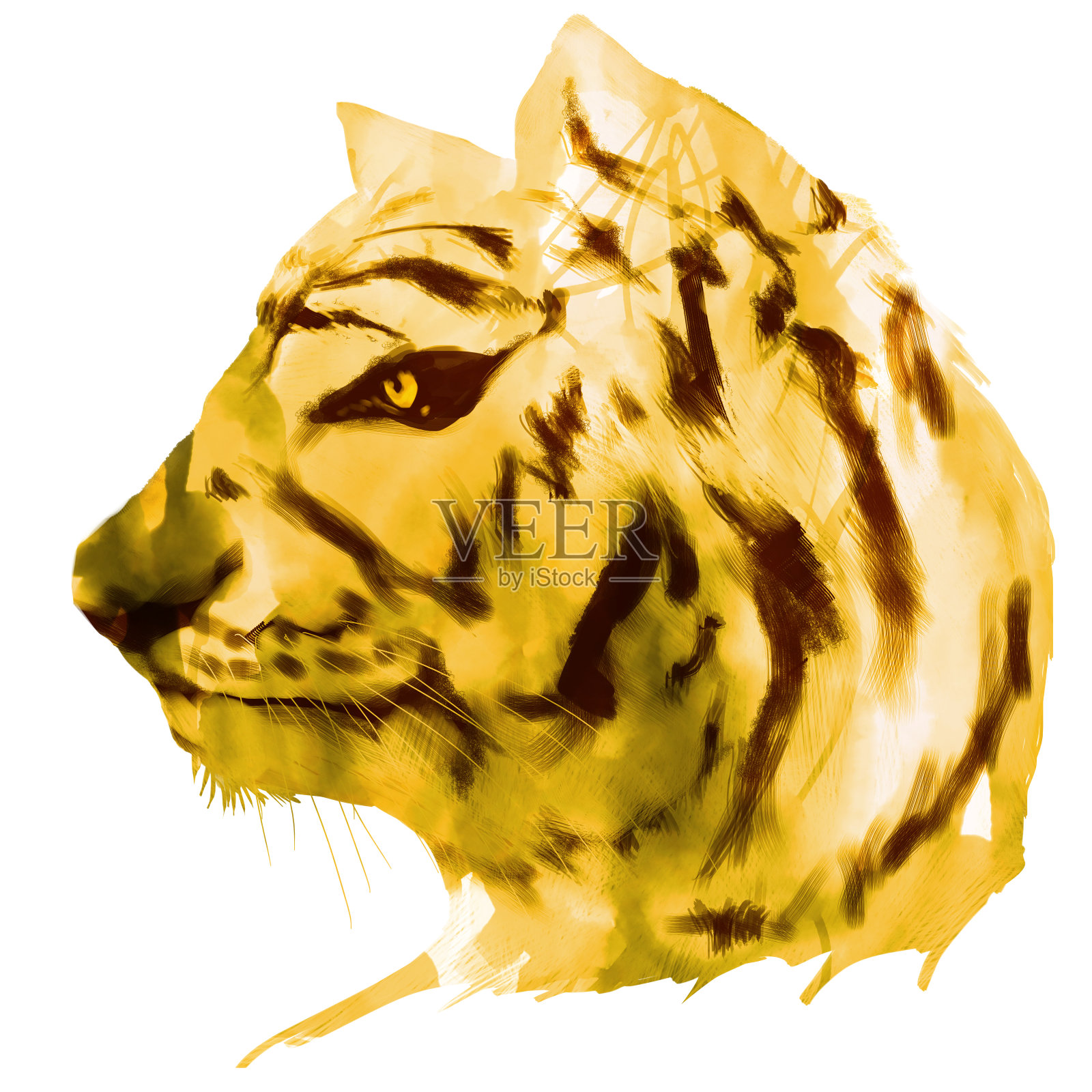 老虎的侧面图插画图片素材