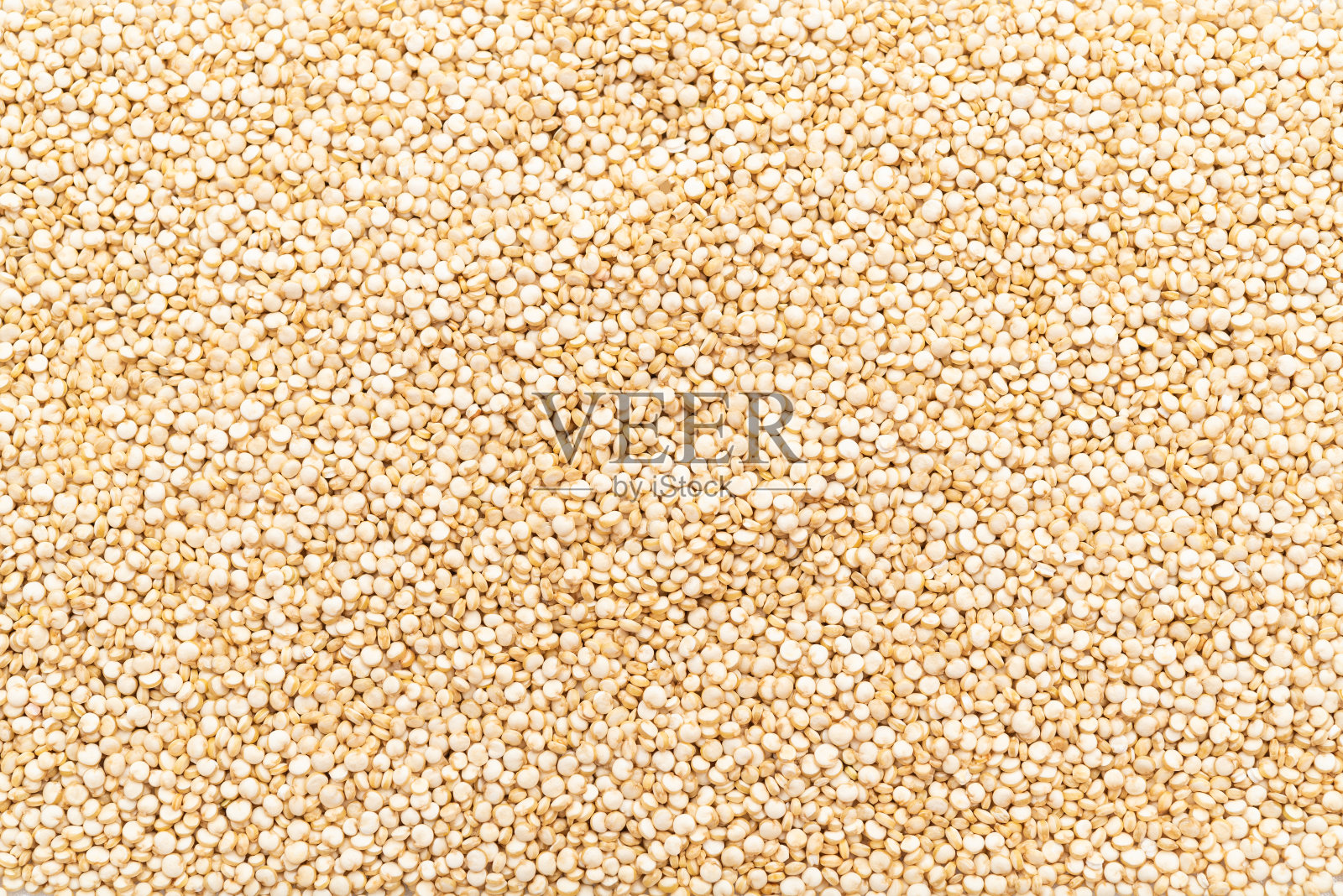 生的藜麦照片摄影图片