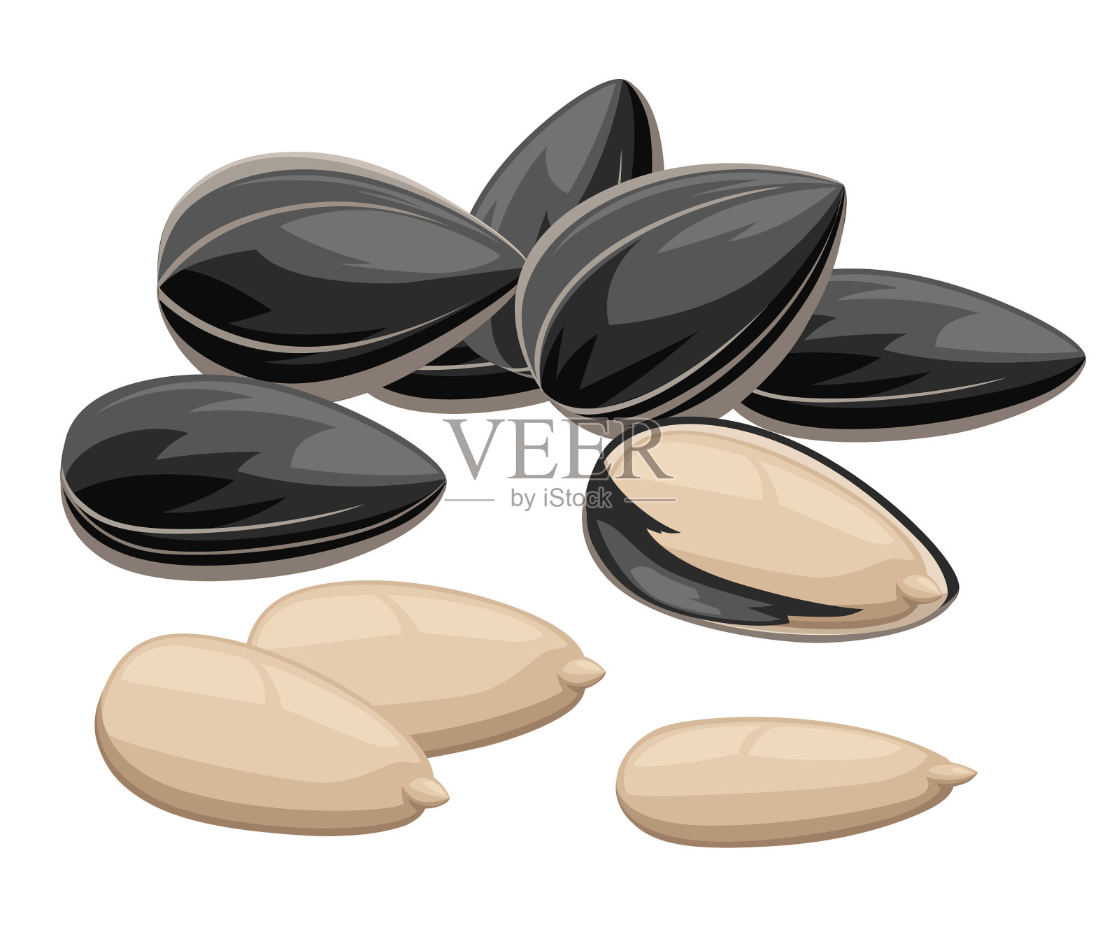 葵花籽在壳里，没有准备好插画图片素材