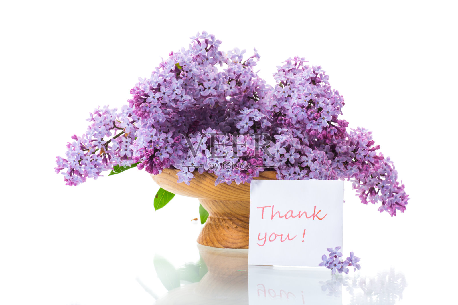 一束美丽的春天的丁香花在白色的背景上照片摄影图片