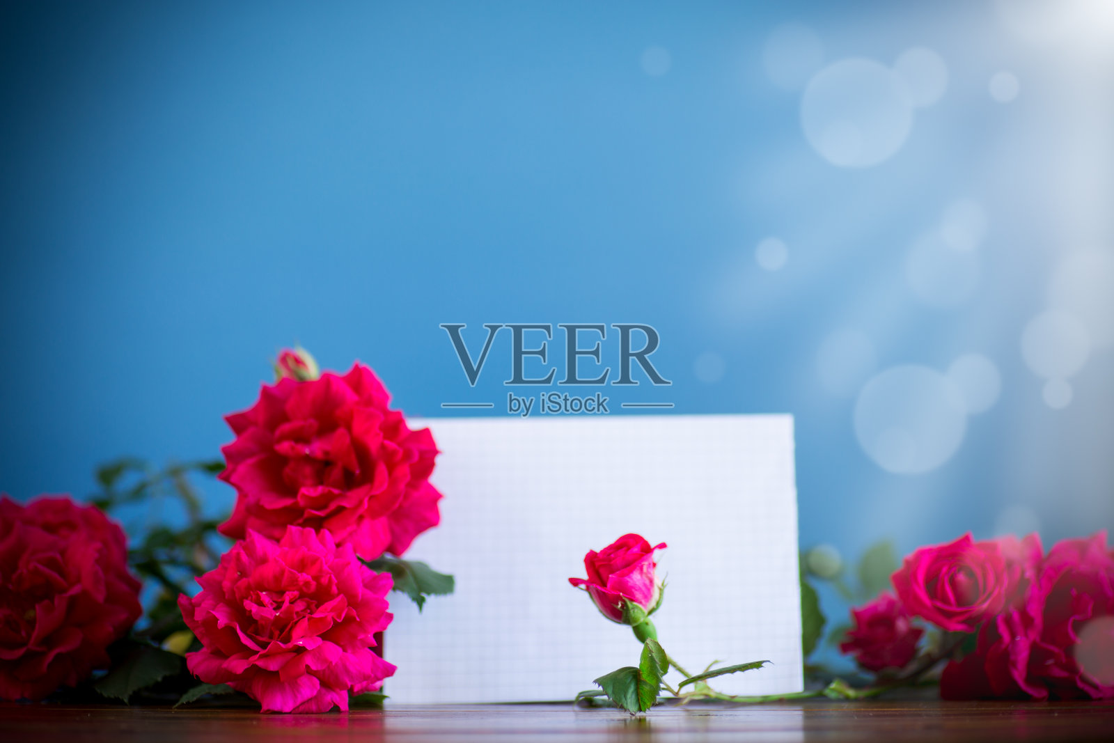 一束美丽的蓝色红玫瑰照片摄影图片