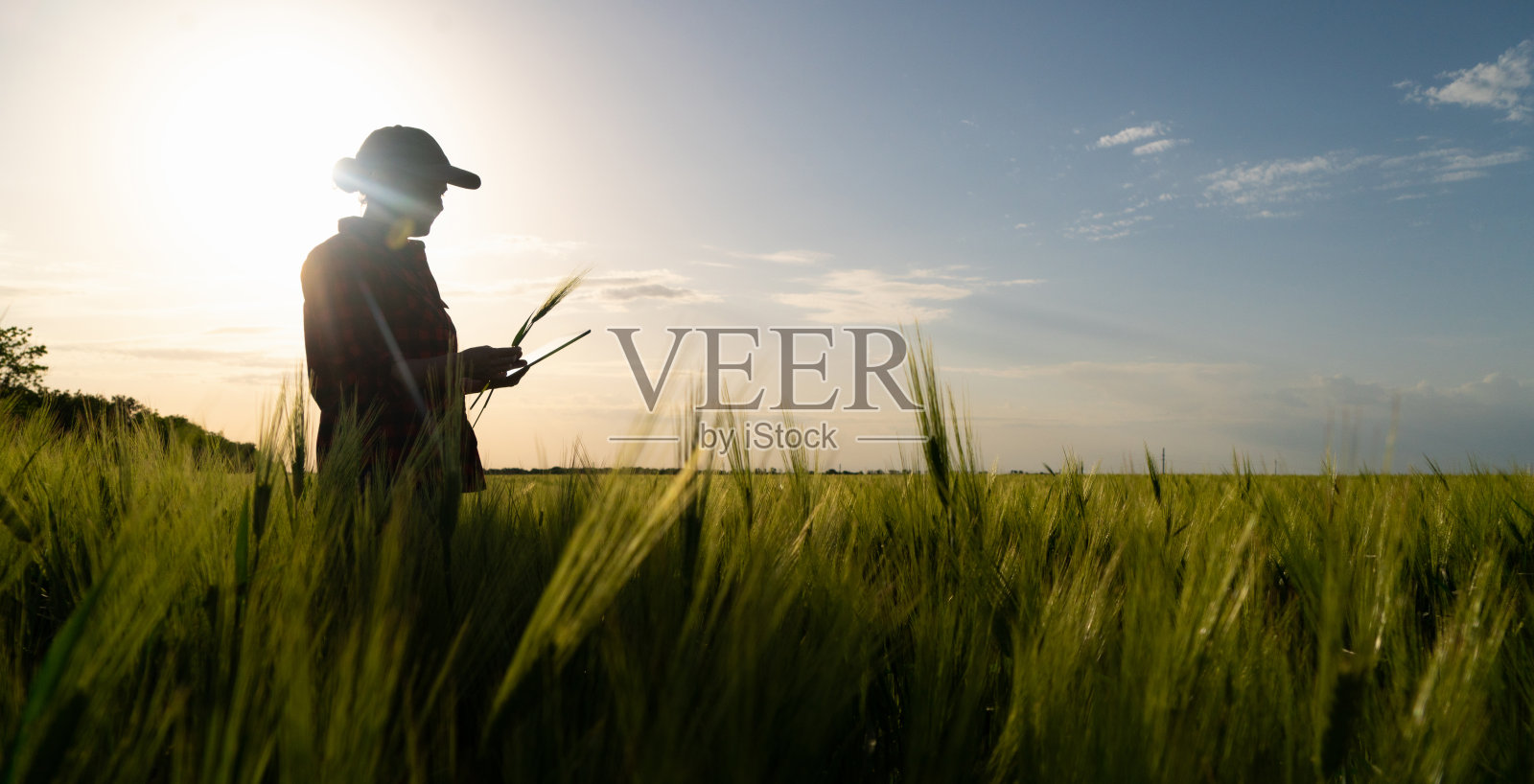 拿着数字平板电脑的女农民照片摄影图片