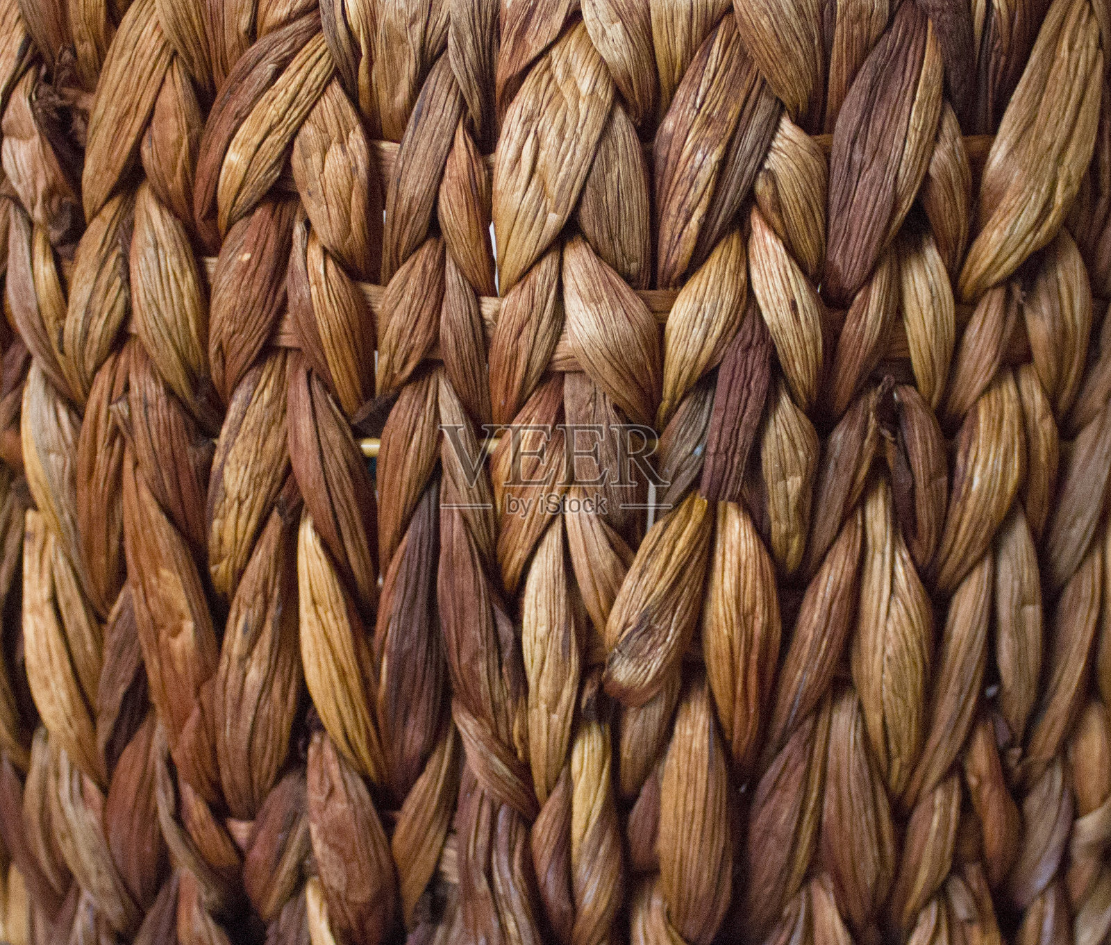 柳条照片摄影图片