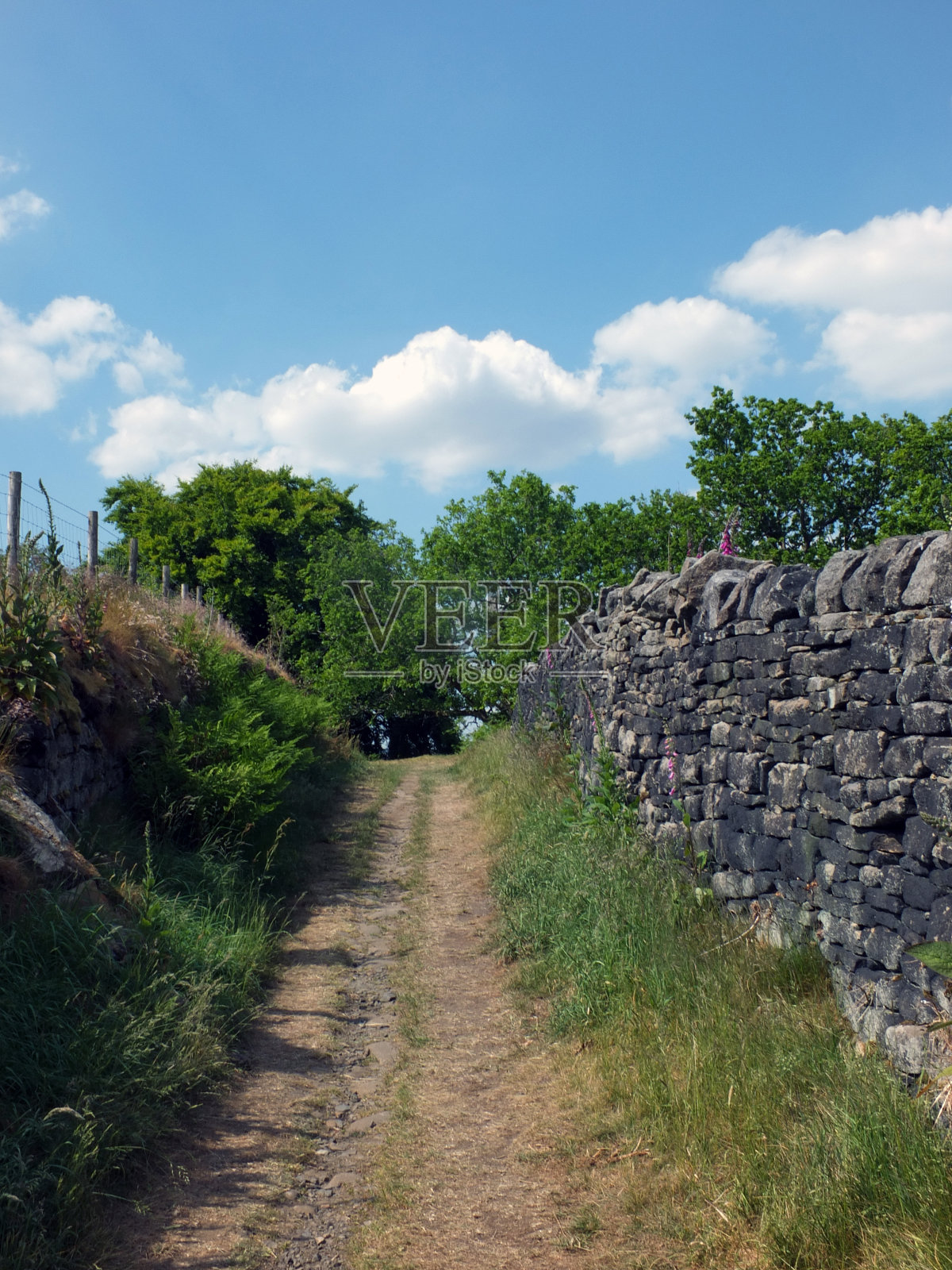 山道一条狭窄的乡间小路，沿山而上，四周有石墙和长满青草和蕨类植物的篱笆照片摄影图片