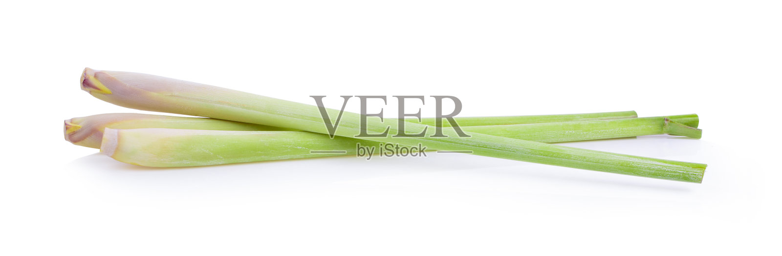 白色背景上的新鲜柠檬草照片摄影图片