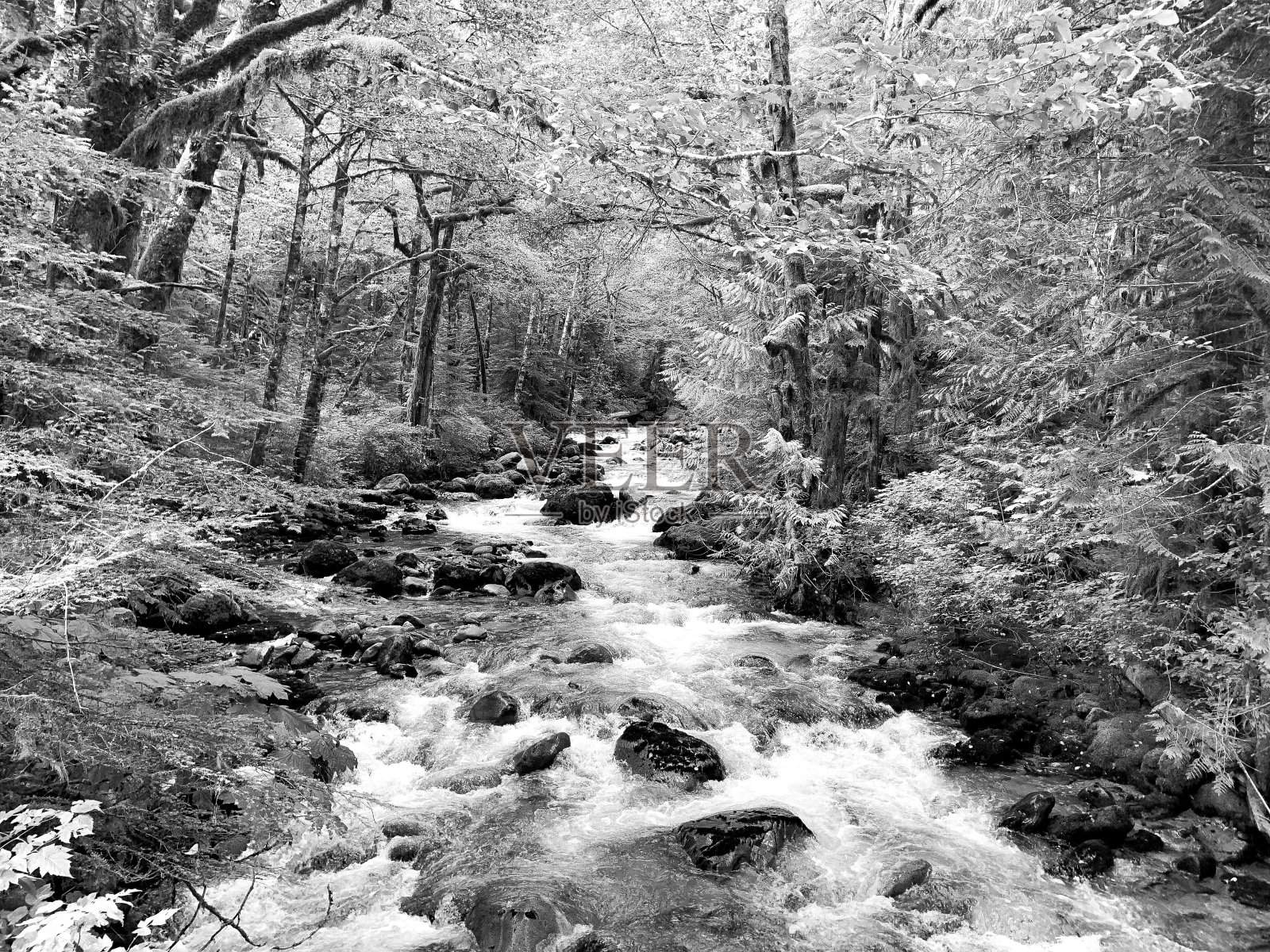 级联河照片摄影图片