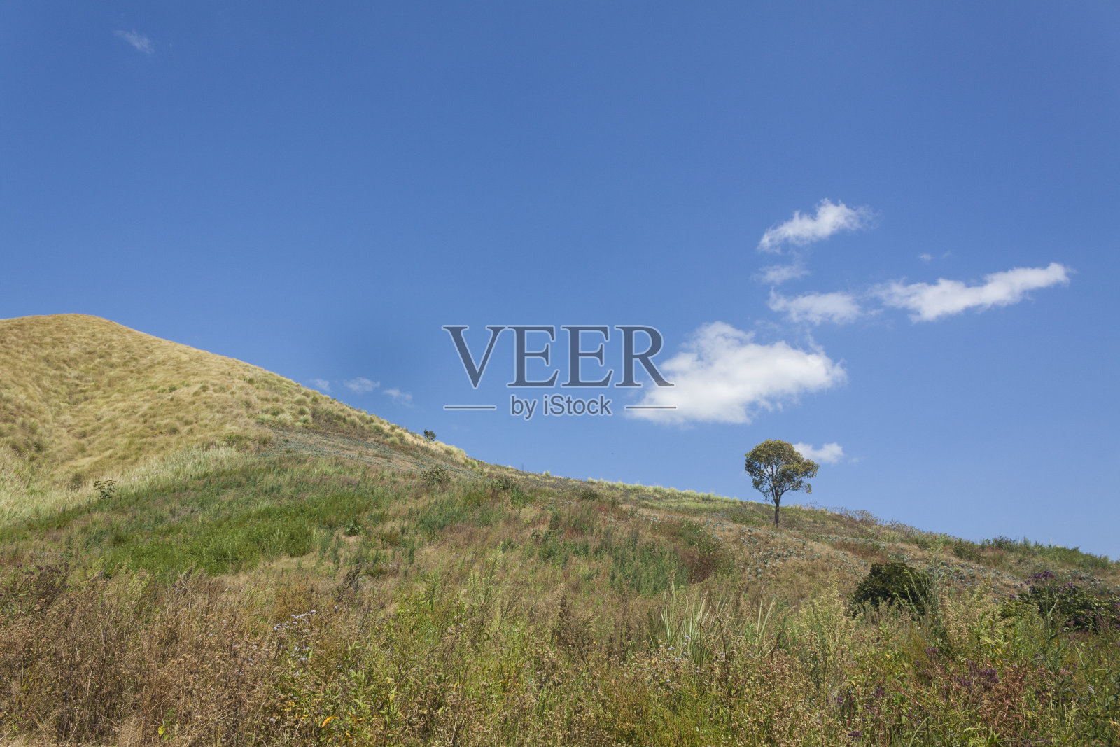 WURUNG火山口照片摄影图片