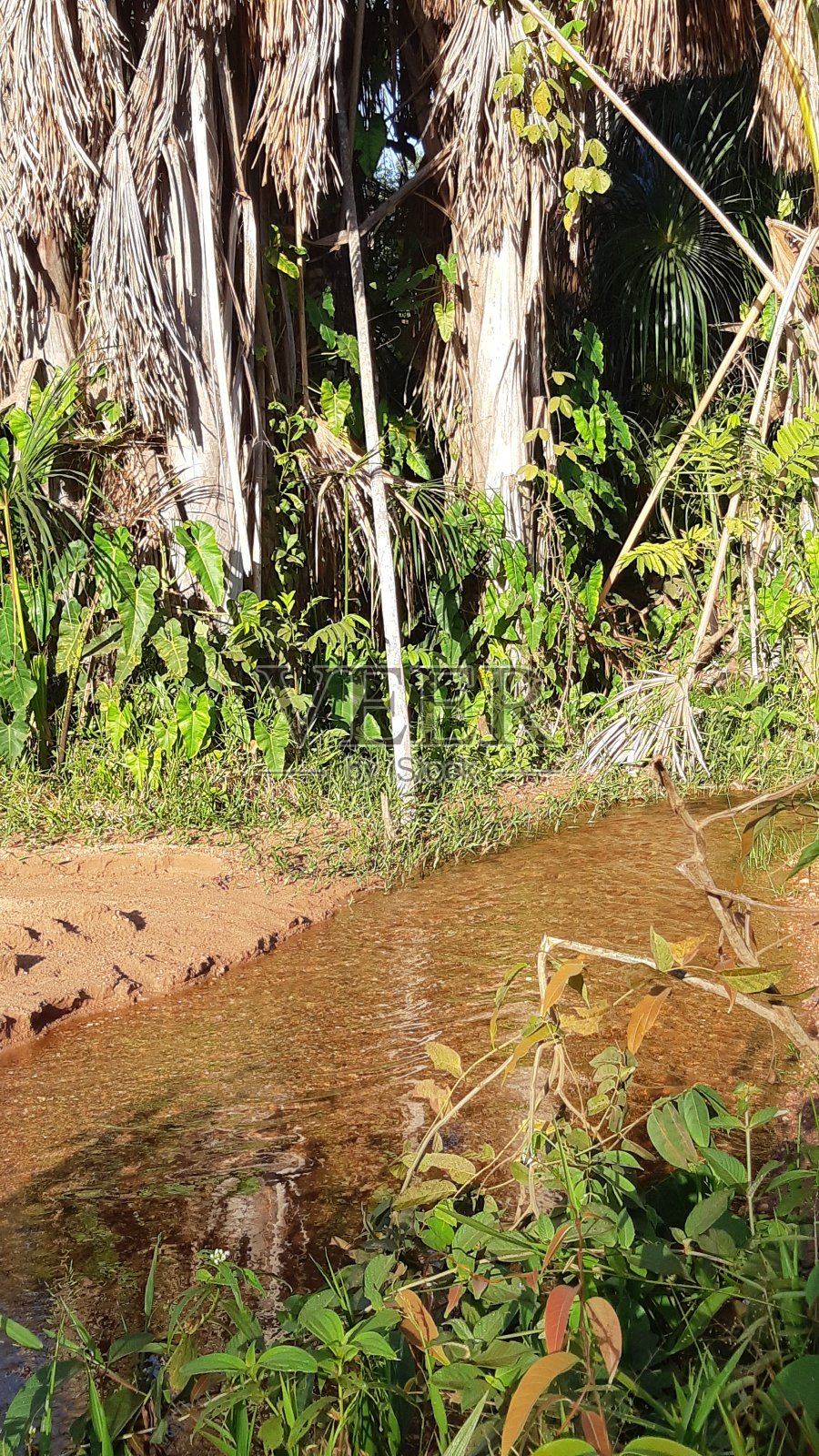 天然美女照片摄影图片