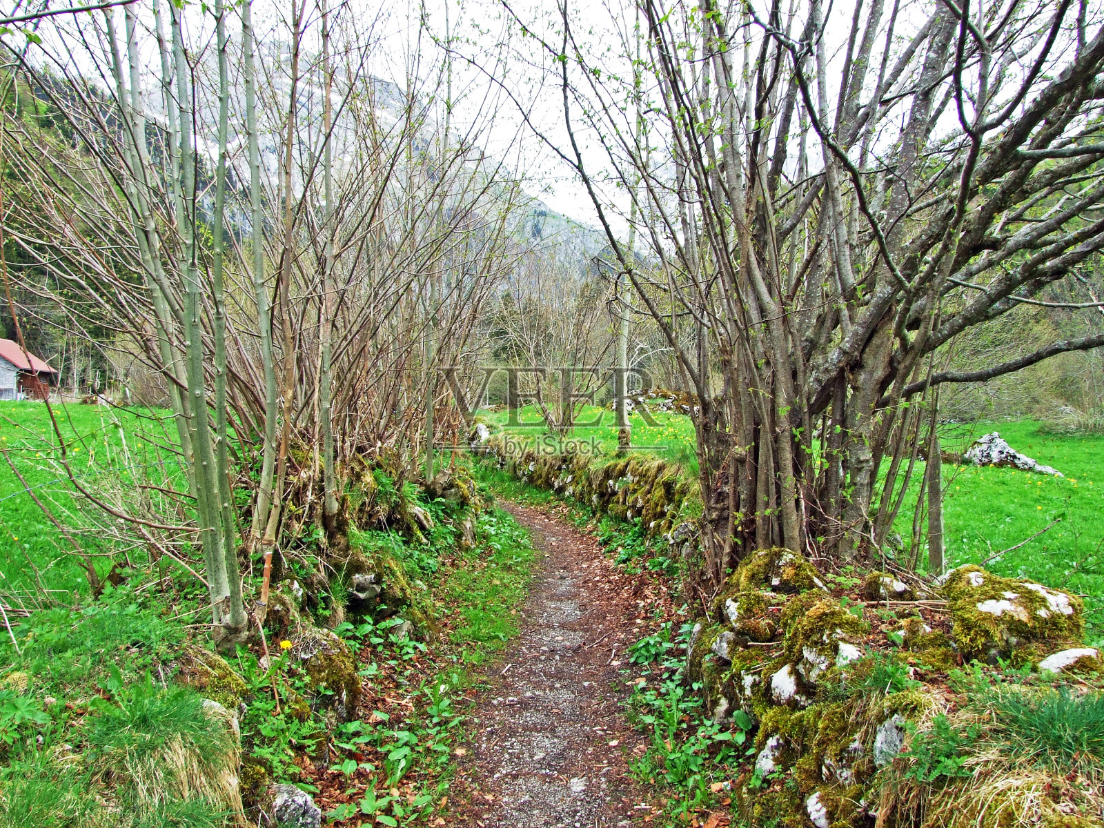 行走和标记的小径在图尔河谷和Obertoggenburg地区，Unterwasser - Canton of St. Gallen, Switzerland照片摄影图片