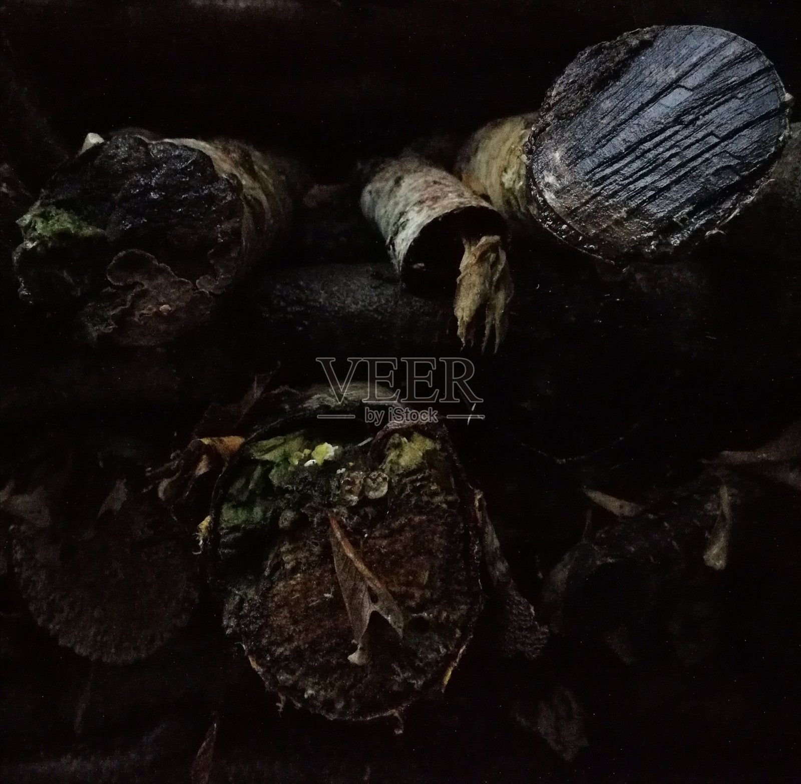 自然林地照片摄影图片