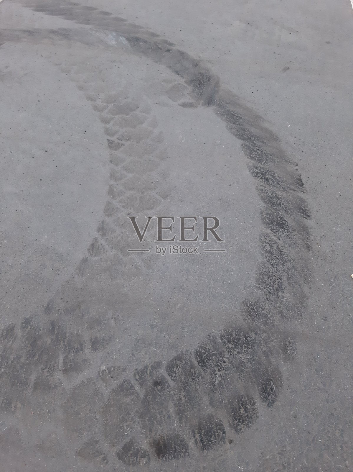 沥青路面上拖拉机胎面留下的油渍照片摄影图片