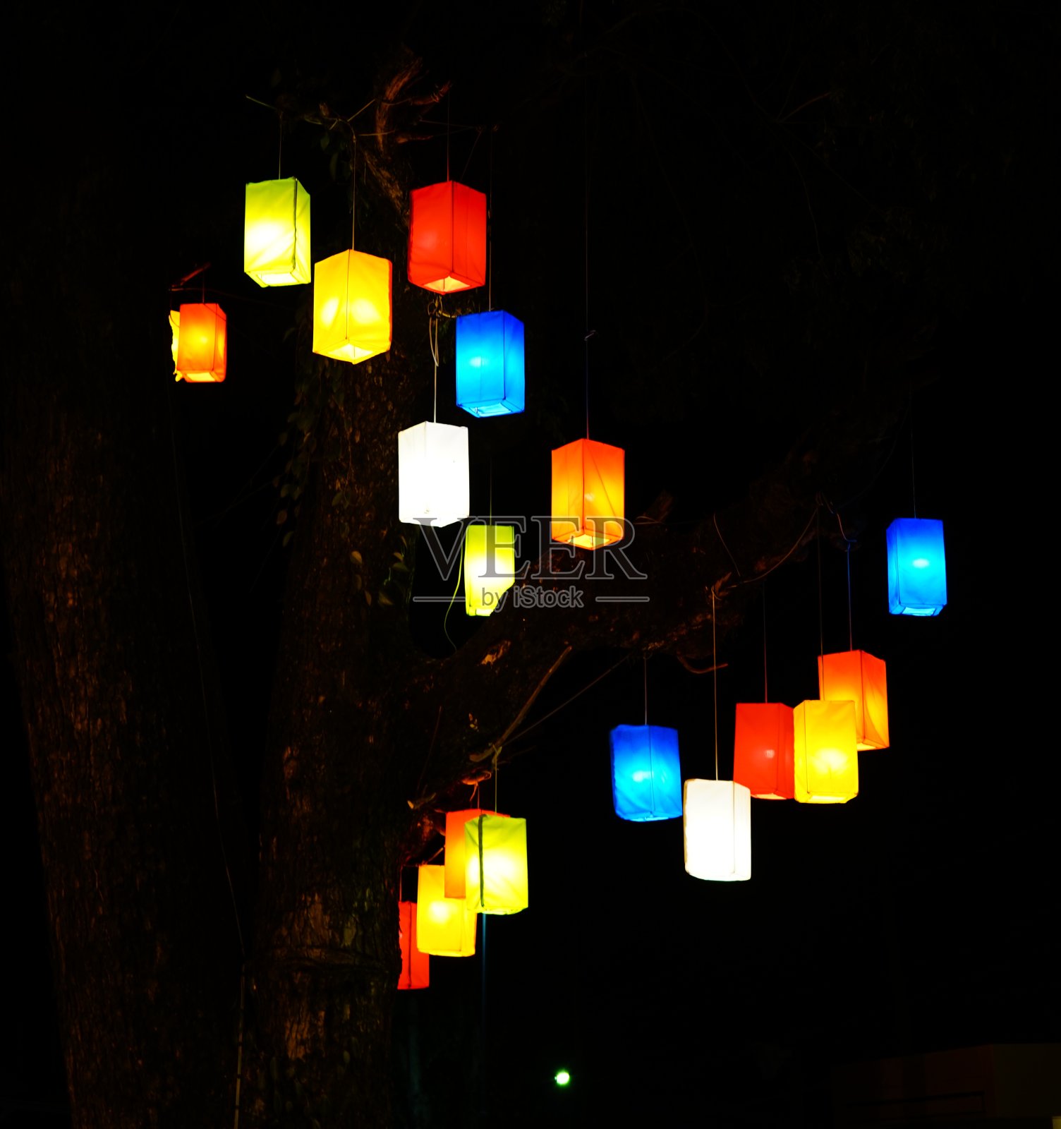 晚上在树上挂灯照片摄影图片