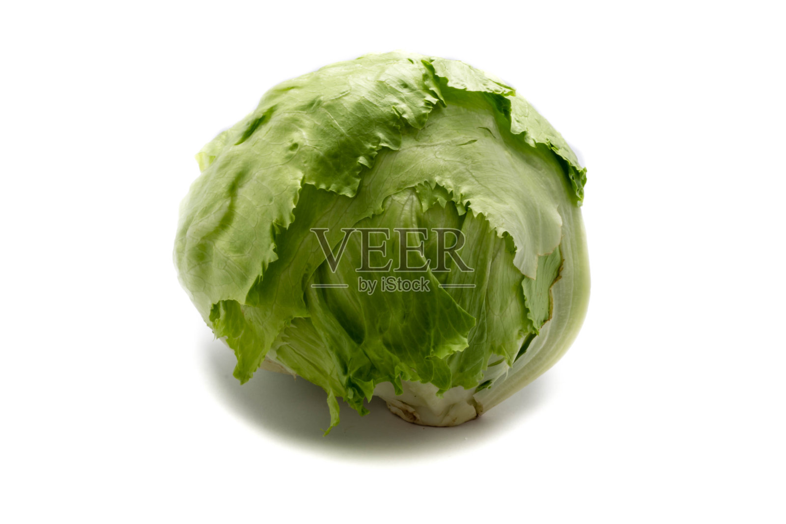 白色背景上孤立的卷心莴苣照片摄影图片