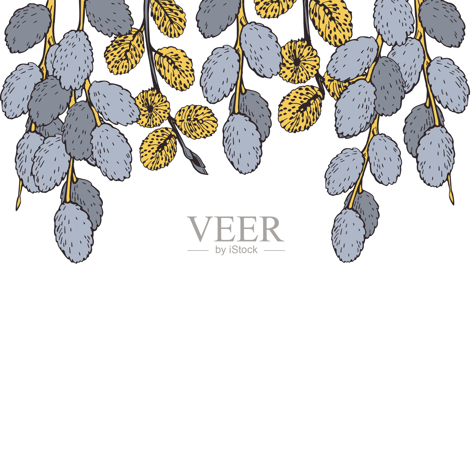 春天柳树的树枝。向量的背景。插画图片素材