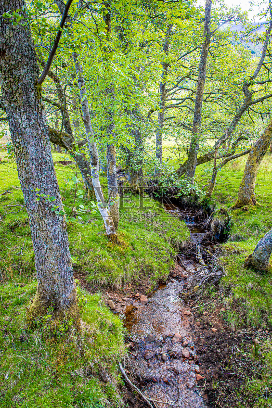 在本尼维斯山周围徒步旅行，本尼维斯山是不列颠群岛的最高峰，位于苏格兰高地的因弗尼斯郡照片摄影图片