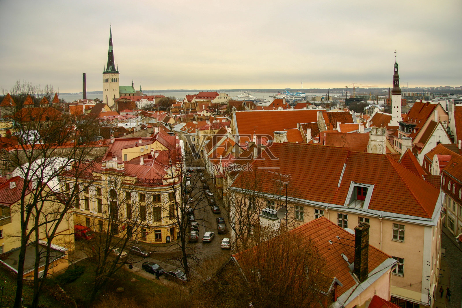 塔林老城和海港照片摄影图片