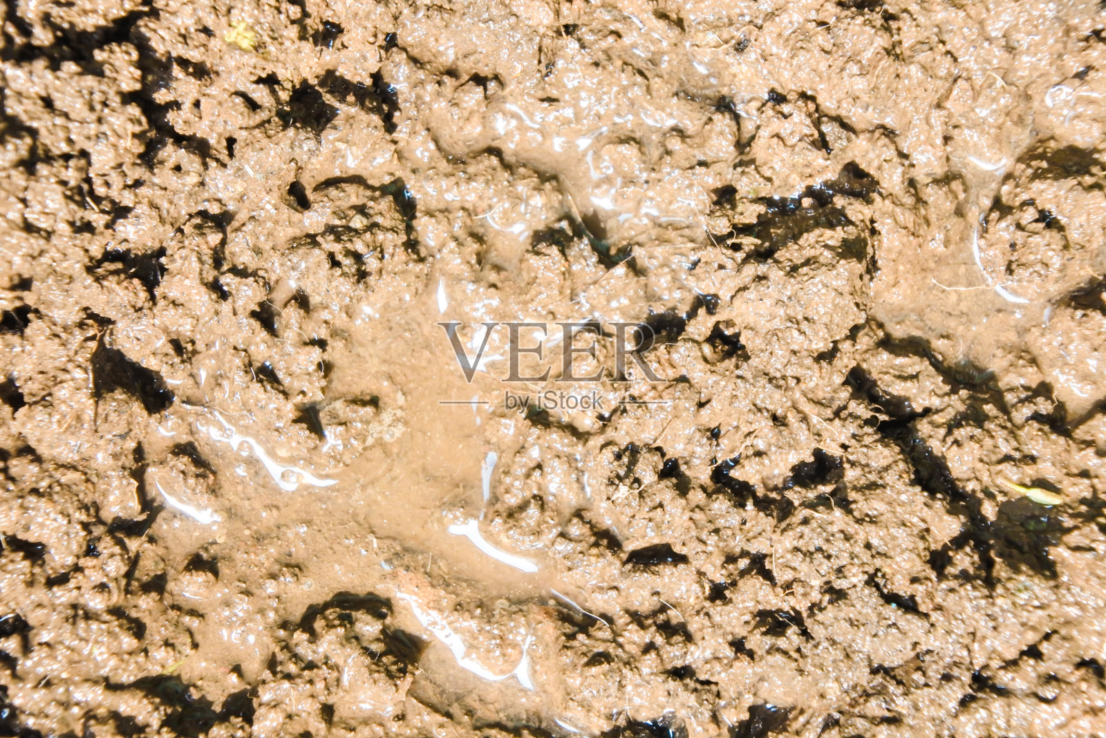 土壤被水泼后变得泥泞不堪照片摄影图片