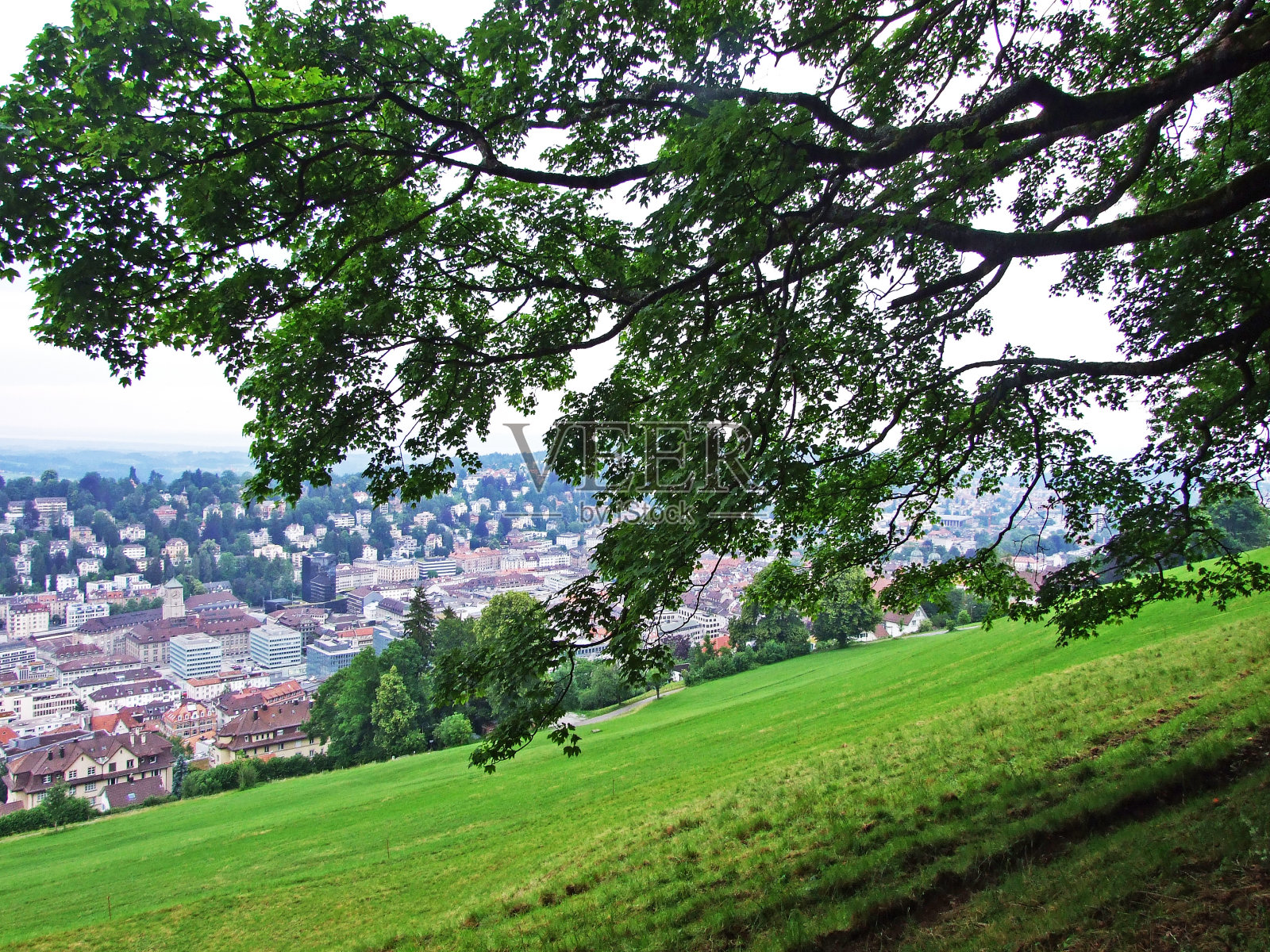 森林公园与步道和圣加伦-瑞士的城市全景照片摄影图片