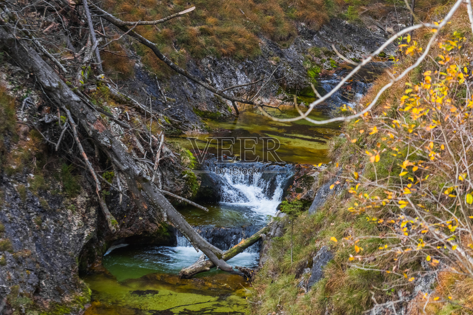 在自然保护区徒步旅行时在瀑布边的瀑布照片摄影图片