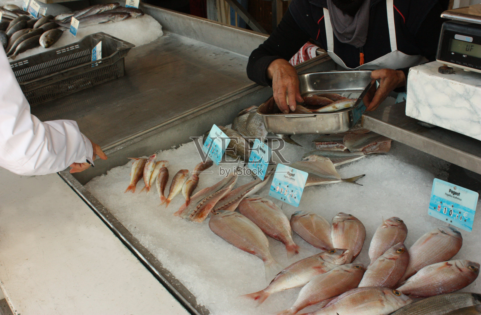 鱼贩和顾客在一个鱼市场的摊档，各种各样的鱼在碎冰上的价格标签照片摄影图片