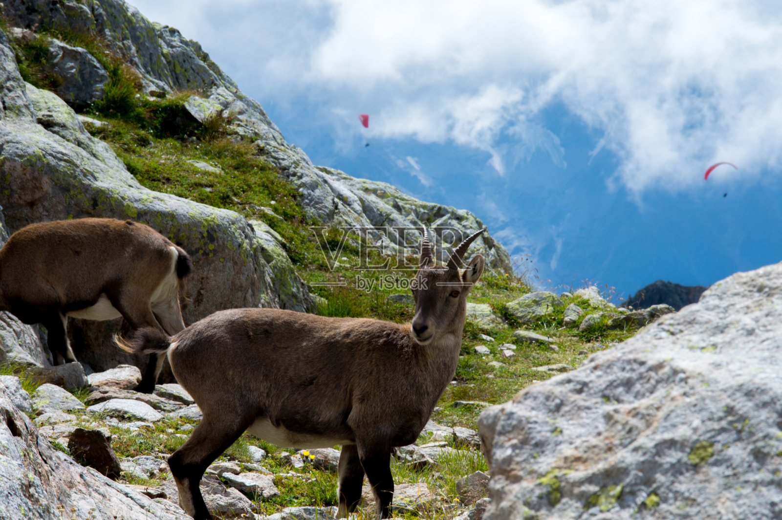 阿尔卑斯山脉照片摄影图片