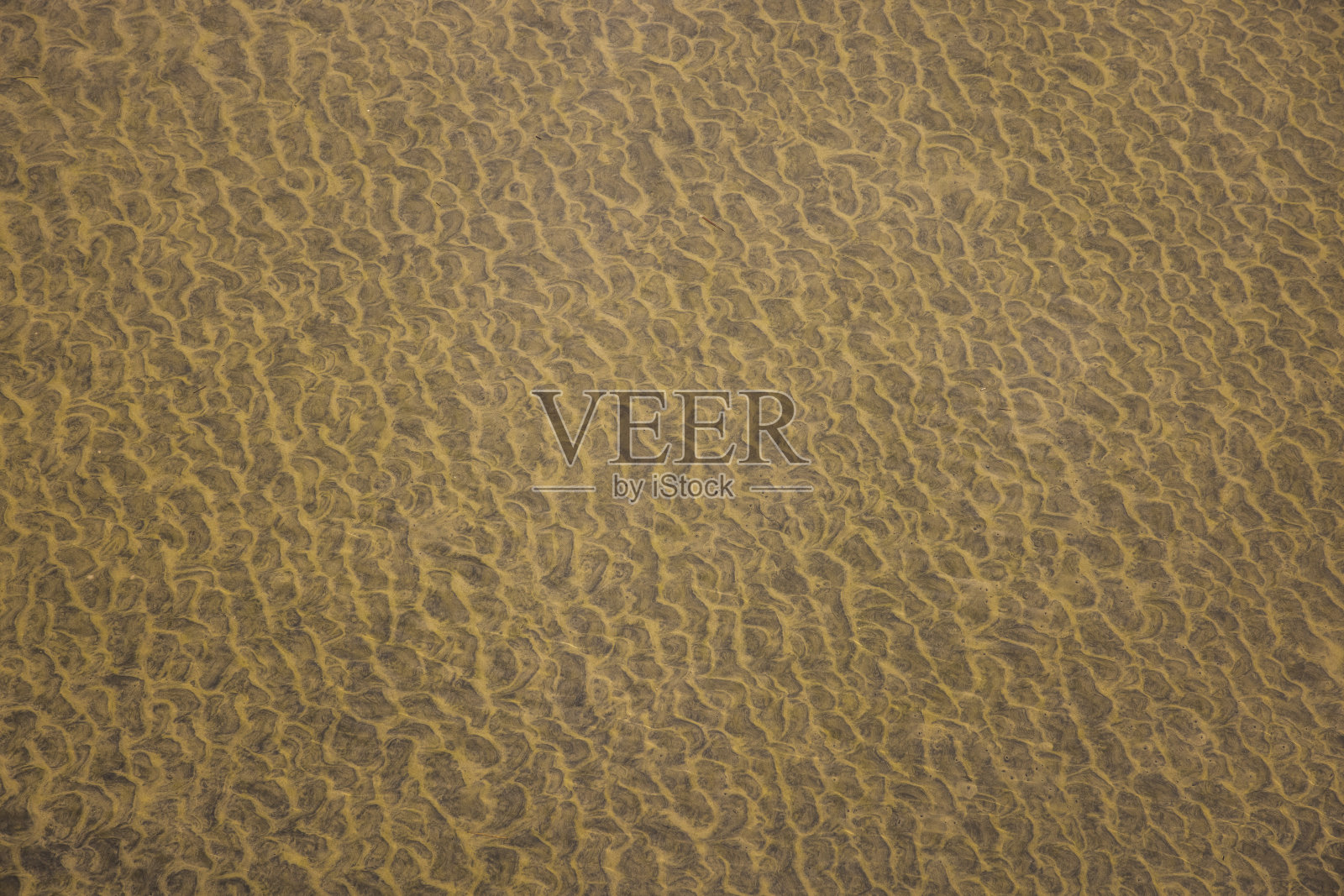 砂文摘照片摄影图片