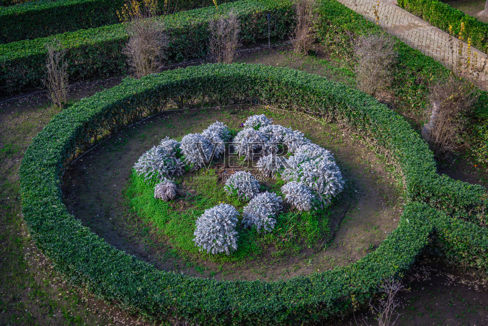 圆形花园，中间开着紫色的花照片摄影图片