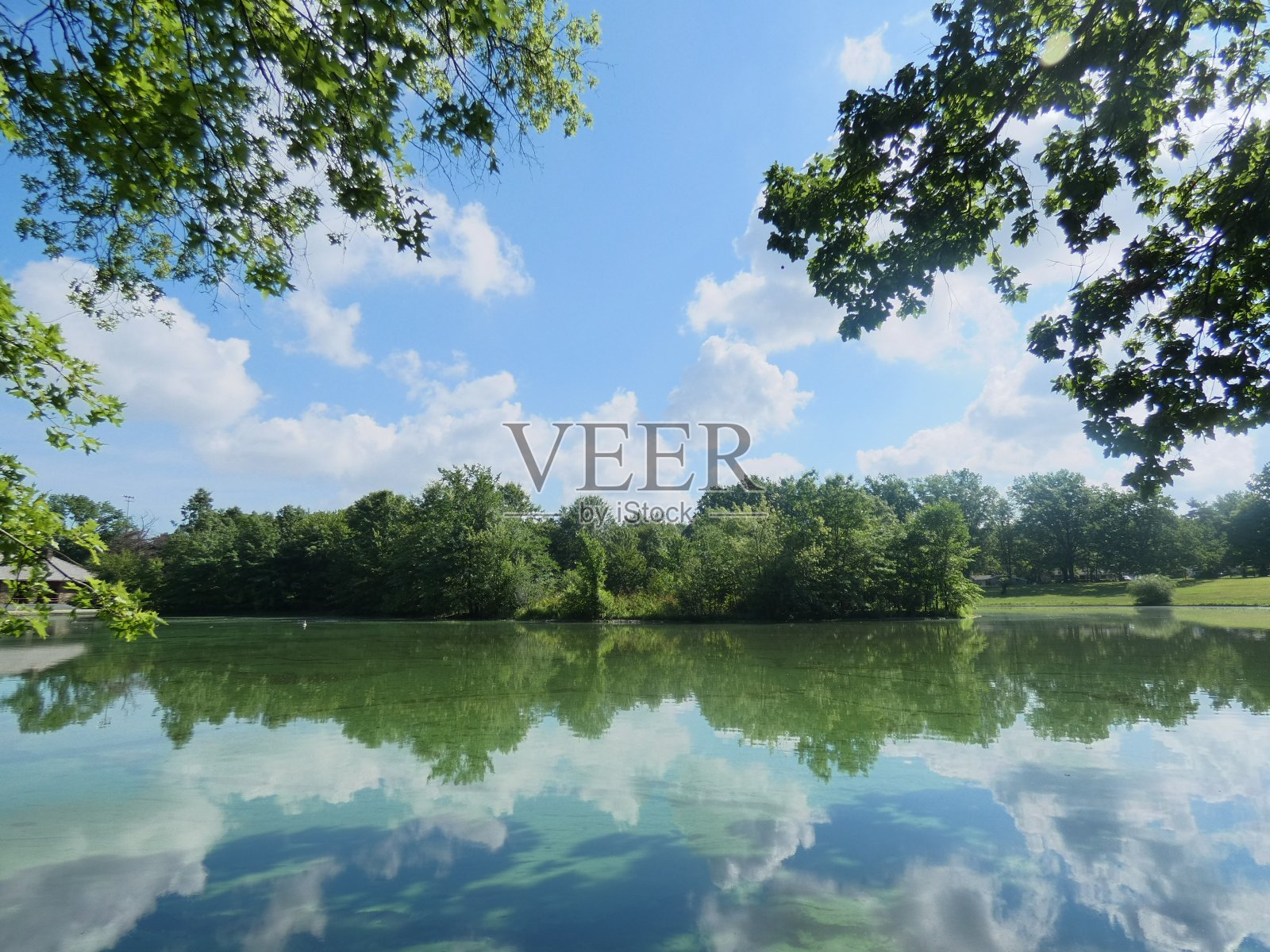 明亮的蓝色和岛上的树木倒映在宁静的湖面上照片摄影图片