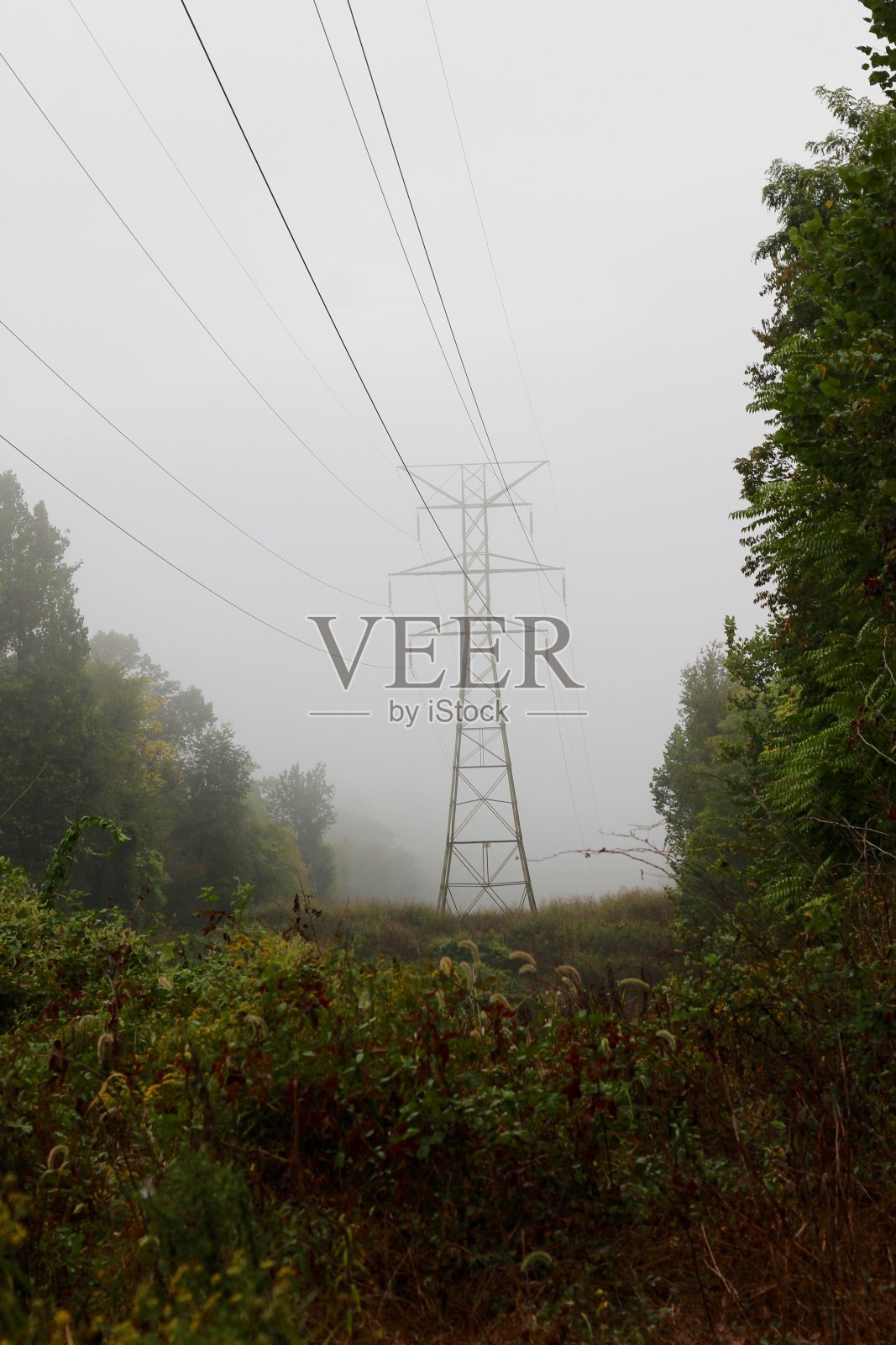 电线和电力塔照片摄影图片