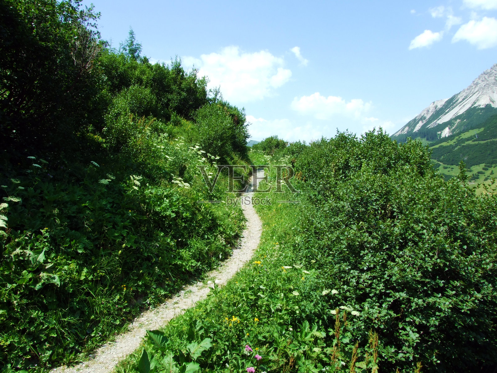 在马尔本塔尔阿尔卑斯山谷和列支敦士登阿尔卑斯山脉徒步旅行照片摄影图片