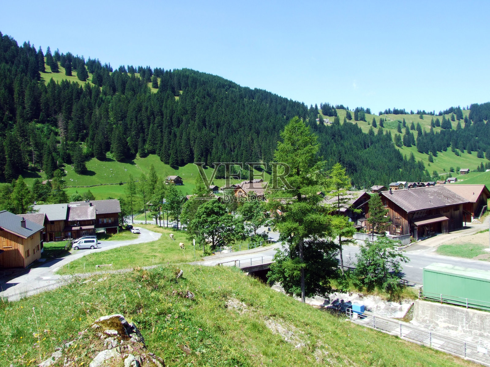 位于Saminatal山谷和列支敦士登阿尔卑斯山中心的传统阿尔卑斯小村庄Steg -列支敦士登照片摄影图片