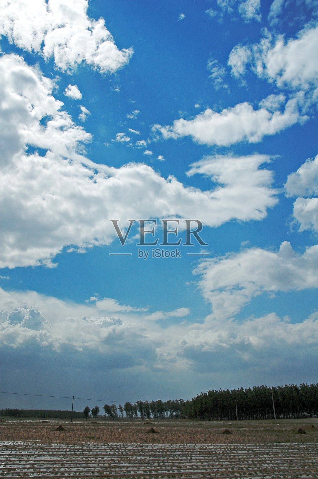 绿色和蓝色的天空照片摄影图片