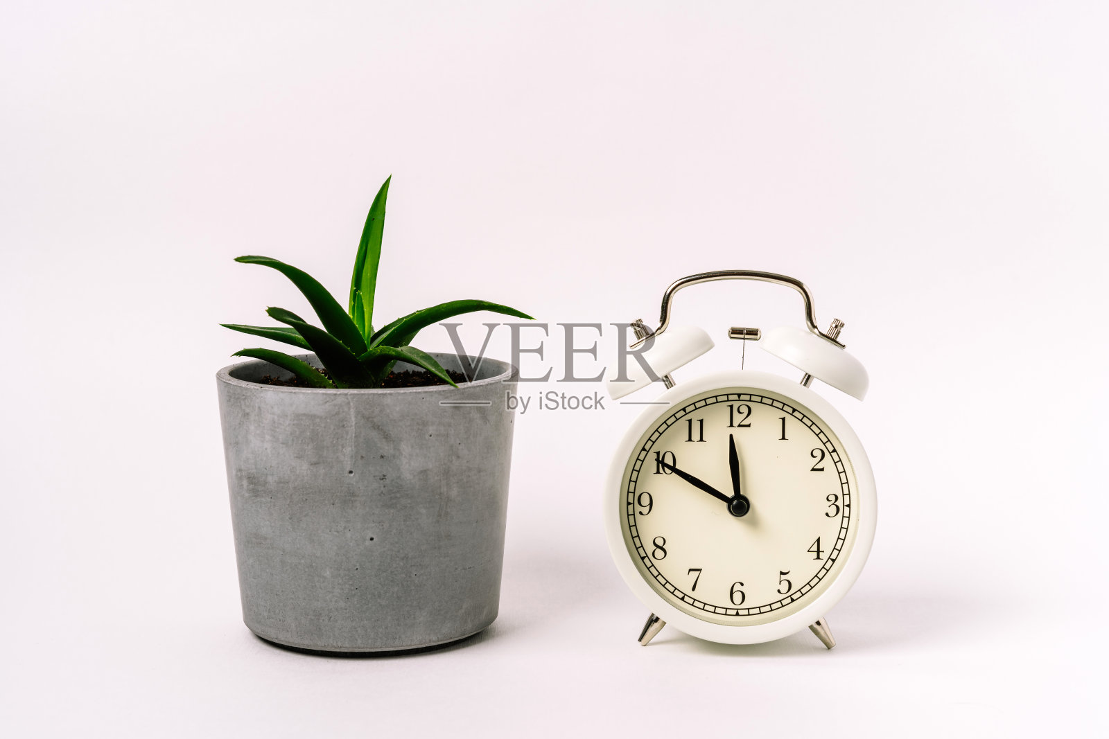 闹钟与多肉的白色背景照片摄影图片