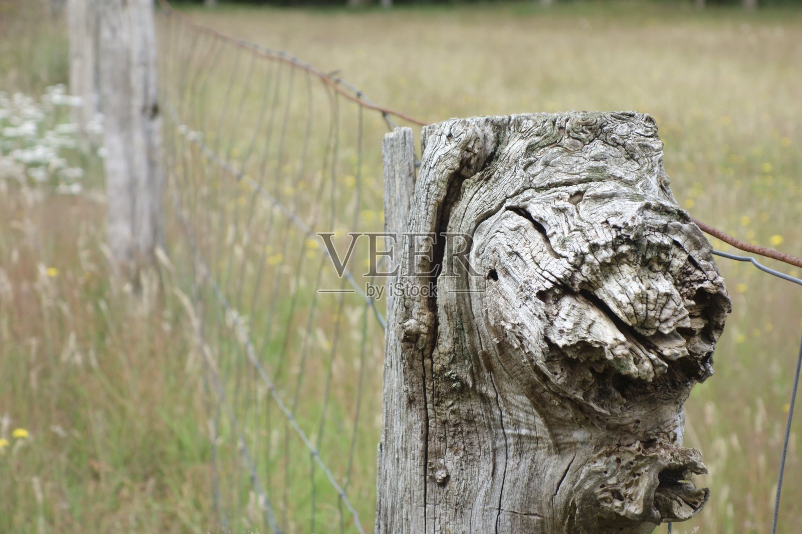 乡村栅栏的细节照片摄影图片