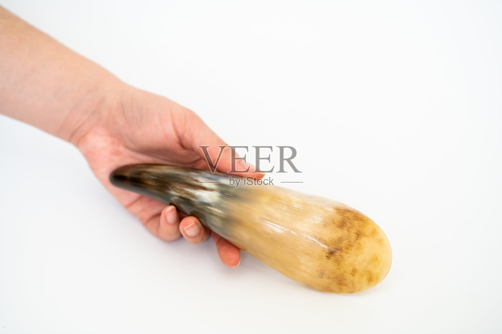 牛的角照片摄影图片