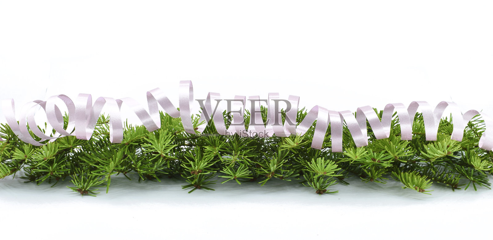 圣诞节的边界与新鲜的绿色冷杉树枝和蛇纹在白色的背景。副本的空间。照片摄影图片