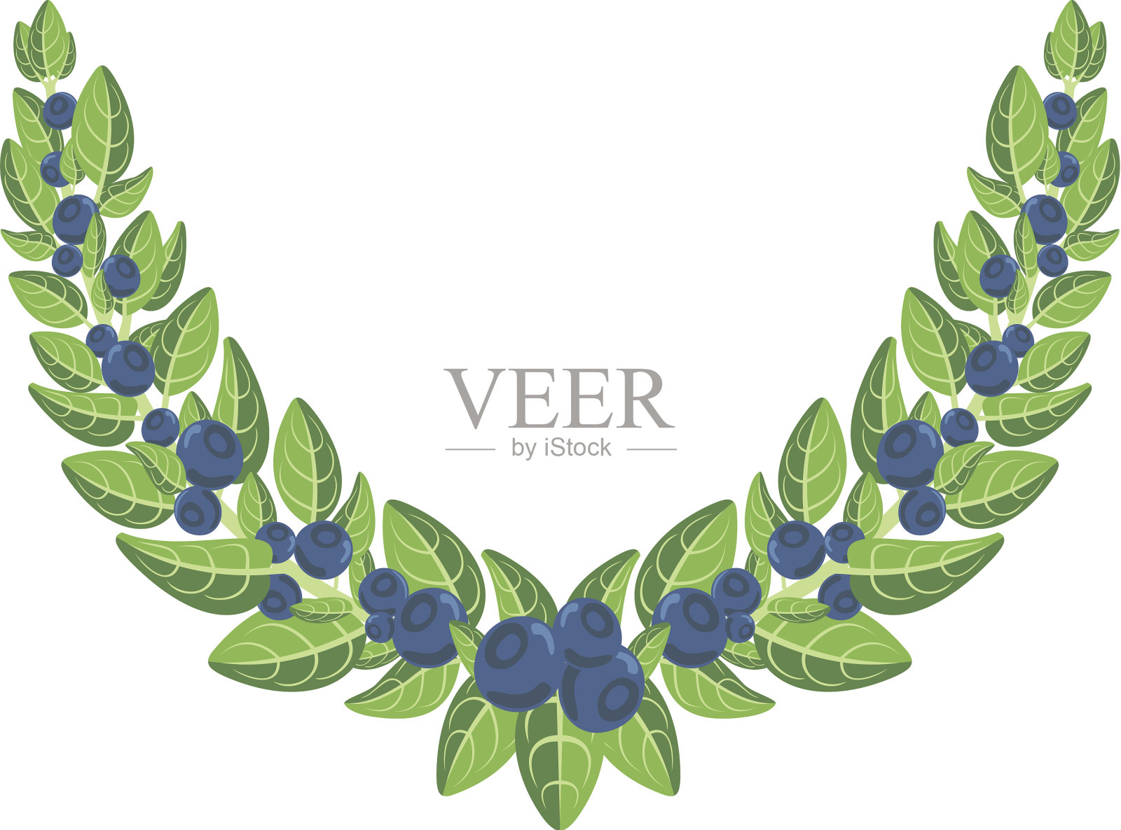 花环蓝莓插画图片素材