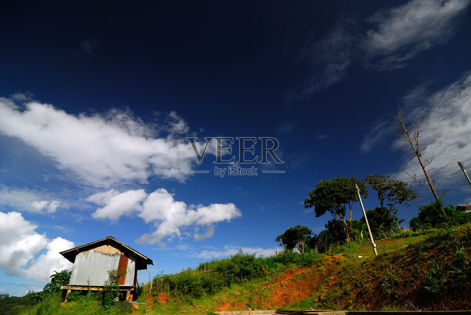 绿油油的稻田，农舍照片摄影图片