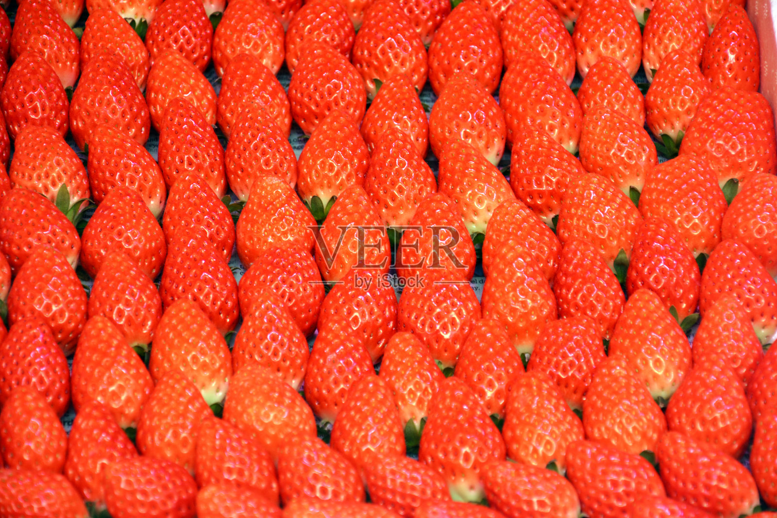 新鲜的红浆果摆放整齐照片摄影图片