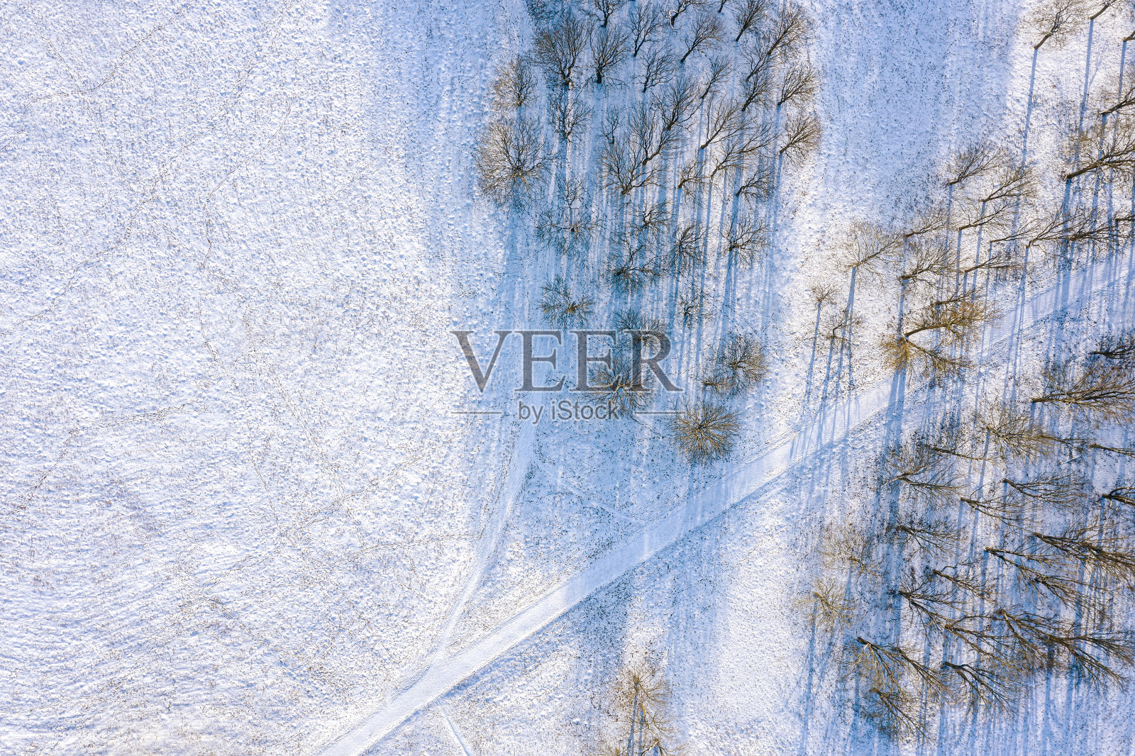 冬天的景色是冰冻的树木和被新雪覆盖的小径。空中俯视图照片摄影图片