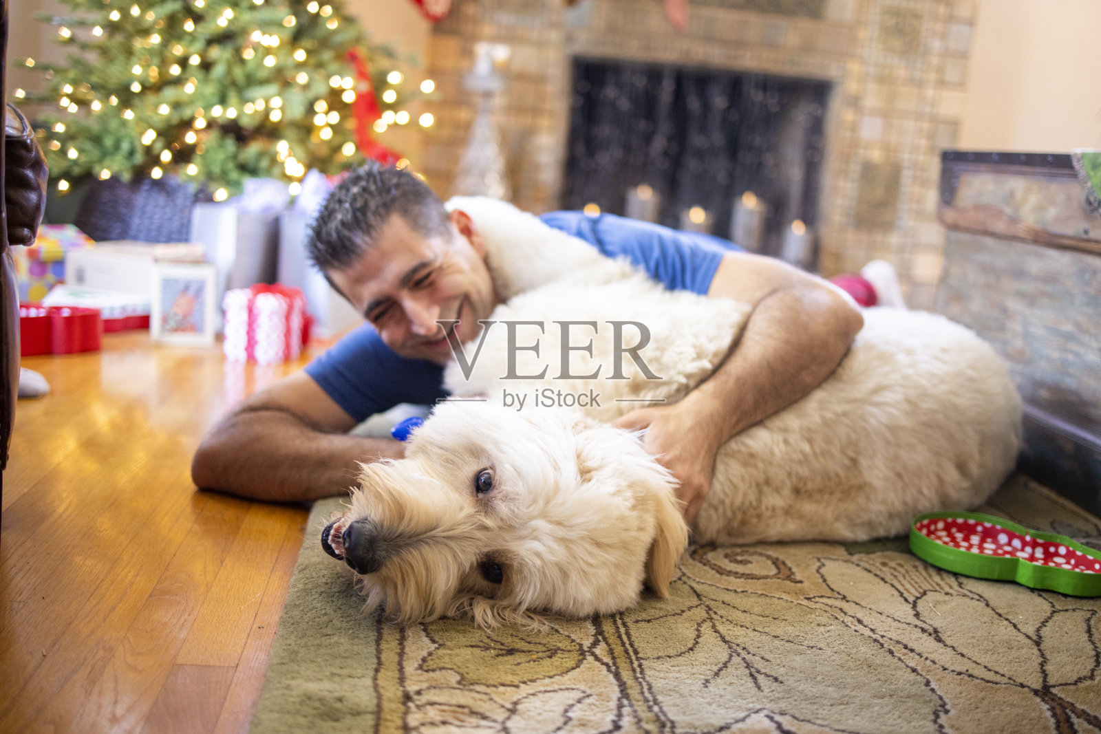 圣诞节的金毛狗照片摄影图片