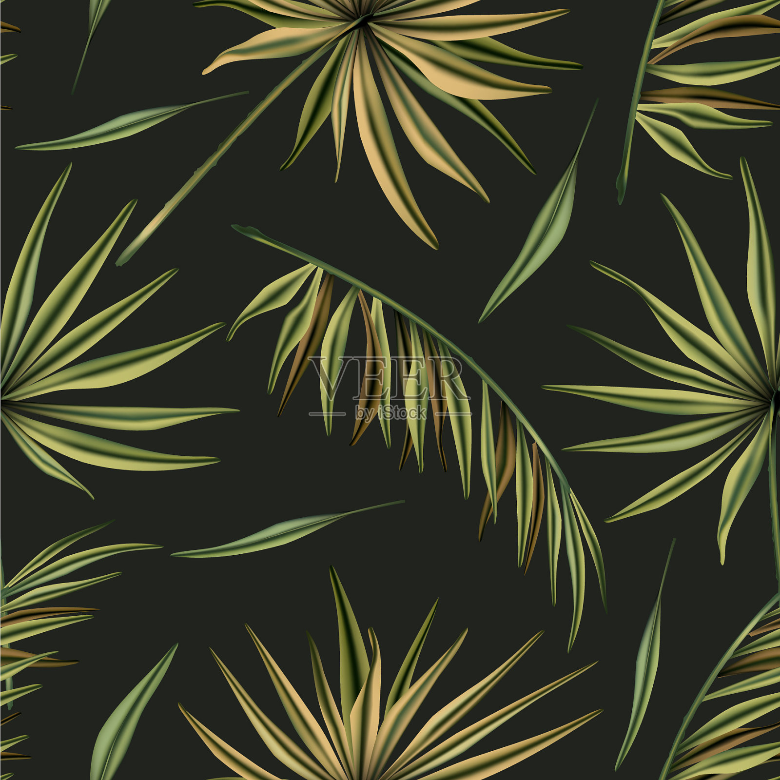 棕榈叶无缝图案插画图片素材