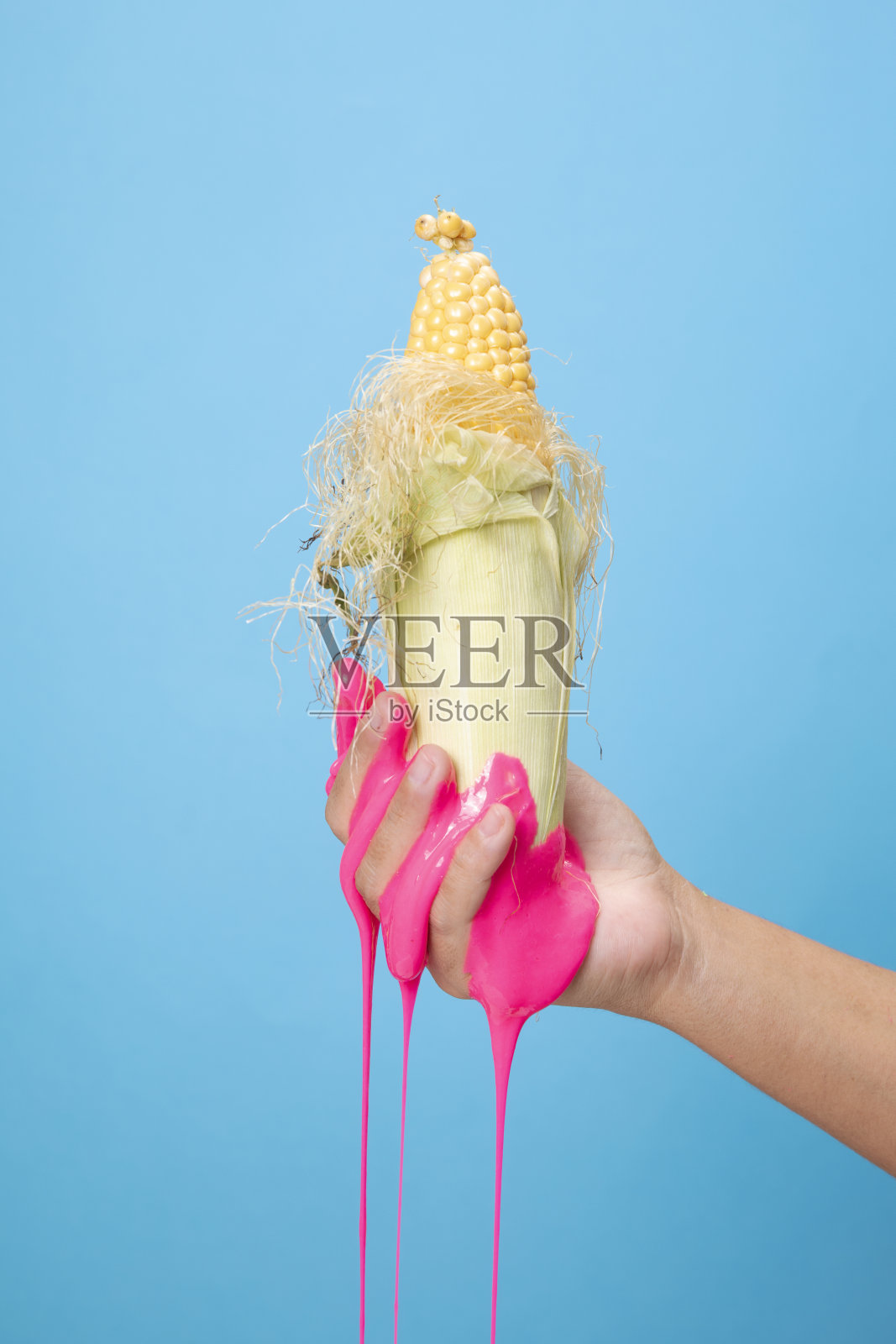 手持切片玉米芯在蓝色纸背景。照片摄影图片