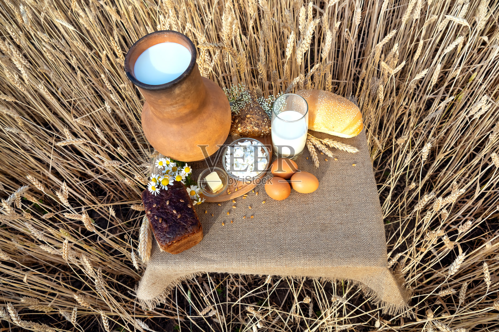 有机食品——牛奶、面包、鸡蛋、奶酪、黄油躺在桌子上，背景是一片麦田。照片摄影图片