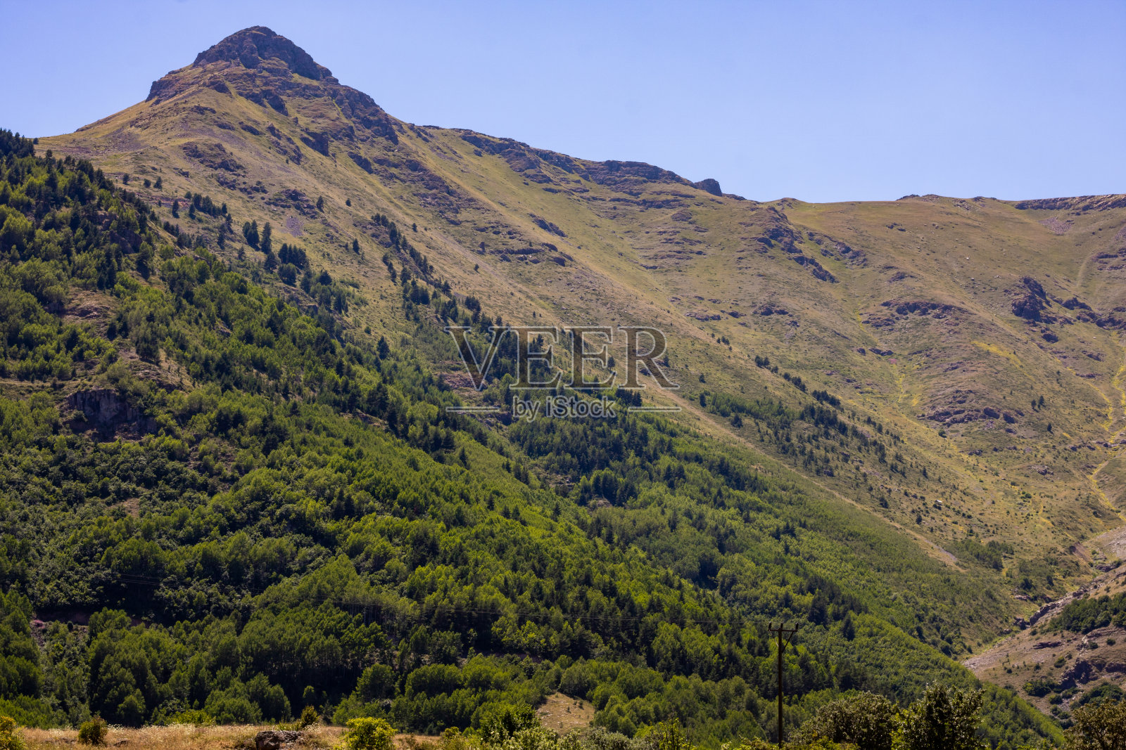 乡间的山麓被森林覆盖着照片摄影图片