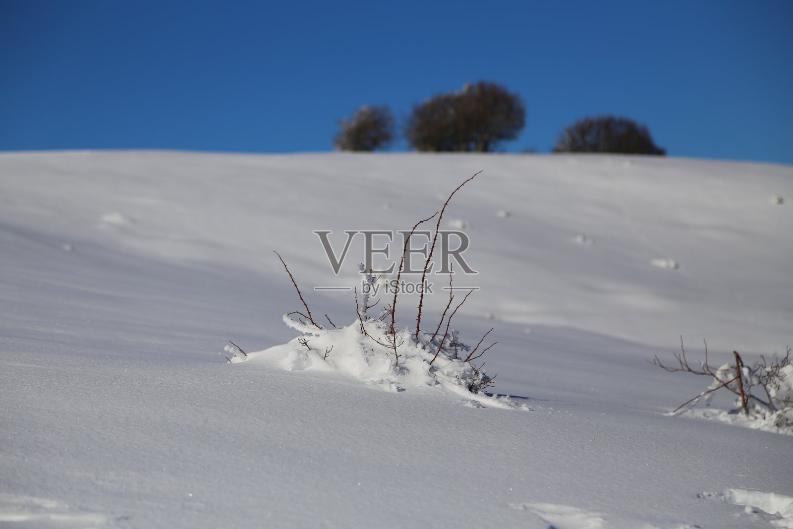 Pratomagno山顶的雪照片摄影图片