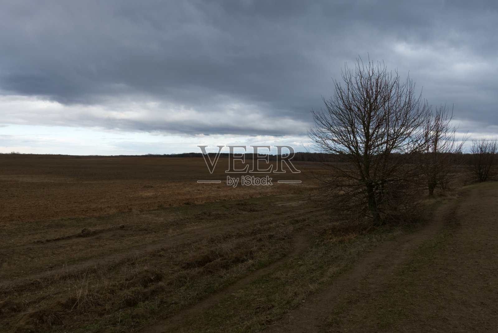 在一个多云的夜晚，田野里的土路。矮小的树。照片摄影图片