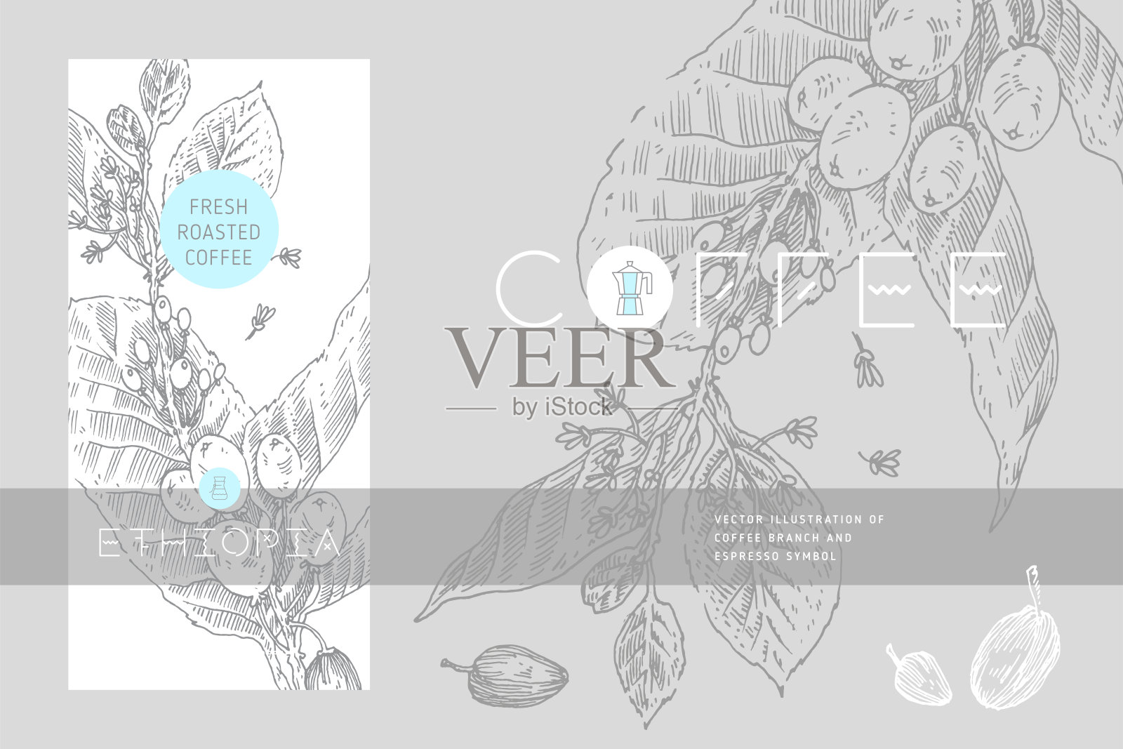 咖啡标签模板设计与分支插图的咖啡豆雕刻风格。插画图片素材